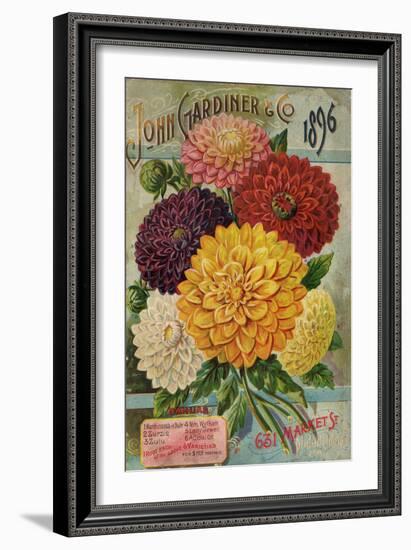 John Gardiner and Co. 1896: Dahlias-null-Framed Premium Giclee Print