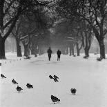 Regent's Park, London. Pigeons on a Snowy Path with People Walking Away Through an Avenue of Trees-John Gay-Photographic Print