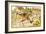 John Gilpin Riding to Edmonton, 1878-Randolph Caldecott-Framed Giclee Print