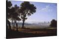Stretched Canvas Print