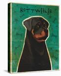 Rottweiler-John Golden-Art Print