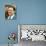 John Goodman-null-Photo displayed on a wall