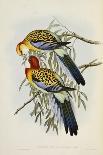 Tropical Toucans II-John Gould-Framed Stretched Canvas