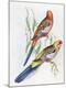Premium Giclee Print