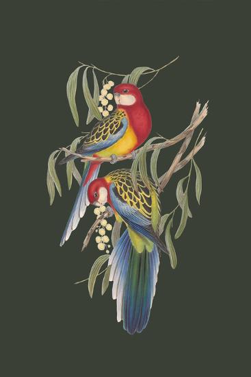 Art Print, , large