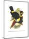 Premium Giclee Print