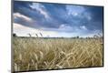 Photographic Print