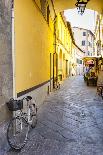 Bicycle parked outside front door, Lucca, Tuscany, Italy, Europe-John Guidi-Photographic Print