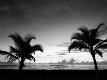 Premium Photographic Print