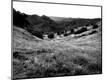 Photographic Print