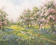 Apple Blossom and Bluebells-John Halford Ross-Stretched Canvas