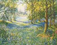 Apple Blossom and Bluebells-John Halford Ross-Stretched Canvas