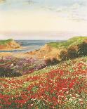 Poppies and Sea Lavender-John Halford Ross-Giclee Print