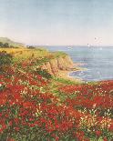 Poppies and Sea Lavender-John Halford Ross-Giclee Print