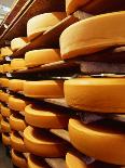 Cheese at Heidi Farm,Tasmania, Australia-John Hay-Framed Photographic Print