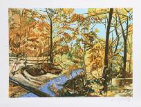 Forest Stream-John Healy-Collectable Print