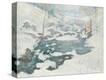 Stretched Canvas Print