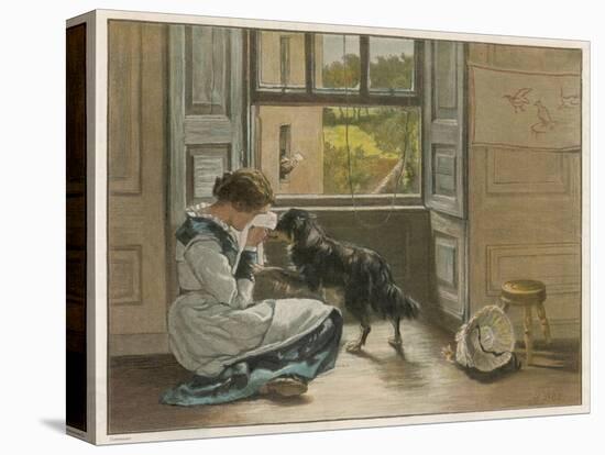 Stretched Canvas Print, , large