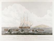 South Sea Whale Fishery, 1825-John Huggins-Mounted Giclee Print