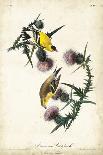 Audubon: Little Blue Heron-John James Audubon-Framed Giclee Print