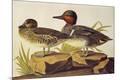 Premium Giclee Print