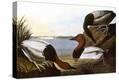 Stretched Canvas Print