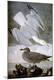Premium Giclee Print