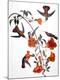 Premium Giclee Print