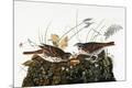Premium Giclee Print