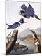 Premium Photographic Print