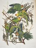 Louisiana Heron from "Birds of America"-John James Audubon-Premier Image Canvas