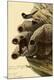 Giclee Print