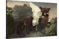 Stretched Canvas Print
