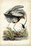 Audubon: Bluebirds-John James Audubon-Mounted Giclee Print