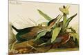 Premium Giclee Print