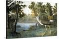 Stretched Canvas Print