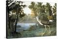 Stretched Canvas Print