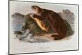 Giclee Print