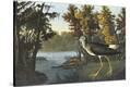 Stretched Canvas Print