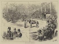 Sketches at the Goat Show at Alexandra Palace-John Jellicoe-Framed Giclee Print
