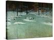 Stretched Canvas Print