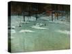 Stretched Canvas Print