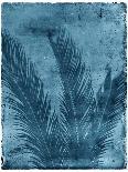 Palmetto Palm-John Kuss-Framed Premier Image Canvas