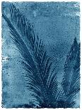 Palmetto Palm-John Kuss-Framed Giclee Print