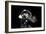 John Lee Hooker, Royal Festival Hall, London, 1988-Brian O'Connor-Framed Photographic Print