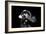 John Lee Hooker, Royal Festival Hall, London, 1988-Brian O'Connor-Framed Photographic Print