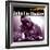 John Lee Hooker, Specialty Profiles-null-Framed Art Print