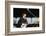 John Lennon Playing Guitar-null-Framed Photographic Print