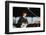 John Lennon Playing Guitar-null-Framed Photographic Print