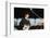 John Lennon Playing Guitar-null-Framed Photographic Print